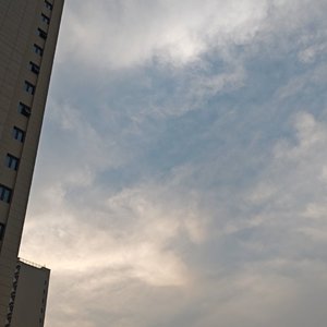 光合作用环