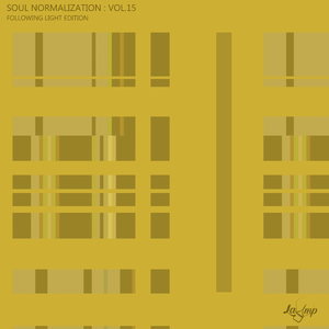 Fox Discard (Following Light Remix)