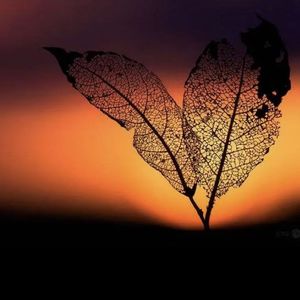 如果明天就是下一生