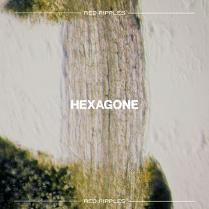 Hexagone