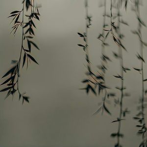 [免费可商用]]deyflo新中国风「gunna kkecho 等一下就回家sasi淮河意识流」