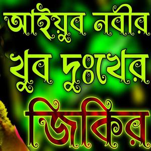 আইয়ুব নবীর খুব দুঃখের জিকির |