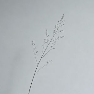 我是那深海的鲸