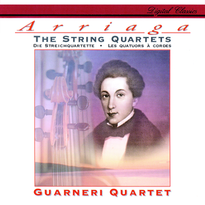 String Quartet No.1 in D minor:1. Allegro