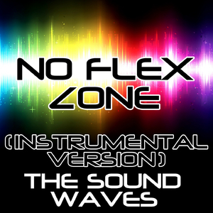 No Flex Zone