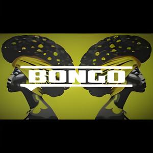 Bongo (original-mix)