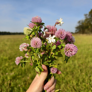 Я получаю удовольствие от жизни