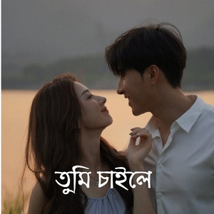 তুমি চাইলে