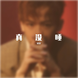 真没睡 2_缩混