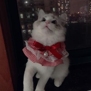 头疼（Prod by REDRUM MUSIC）