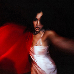 Tout ce qu'il te faut