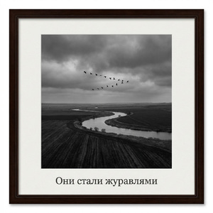 Они стали журавлями
