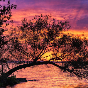 一个人的星空 (助眠钢琴)