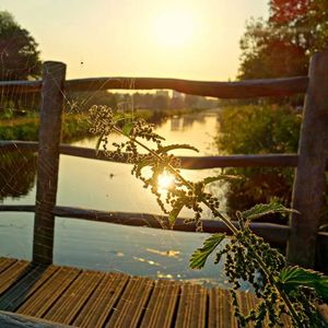 清新梦幻广告音乐