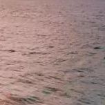 花花的燕子下雨了 (8)