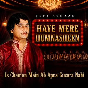 Haye Mere HumNasheen