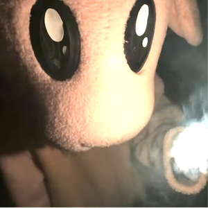 レターパックで現金送れは詐欺 (Demo)