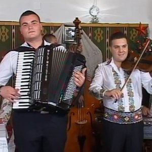 Instrumentala