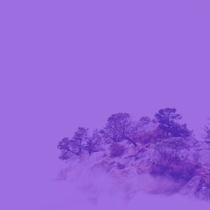 柔和的睡眠时刻