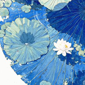 荷塘月色(潮流男声片段)