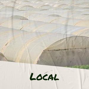 Evenhandedly Opportunity