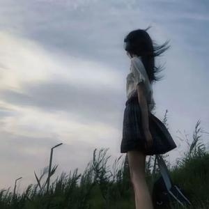 小米进行曲 (雷军专属BGM)