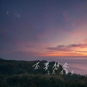 不要想念