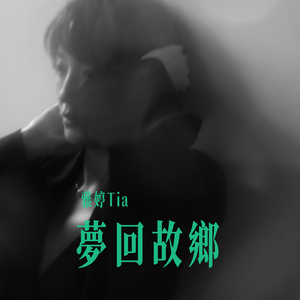 野鸟/想厝的人/恁姊仔住市内Cover