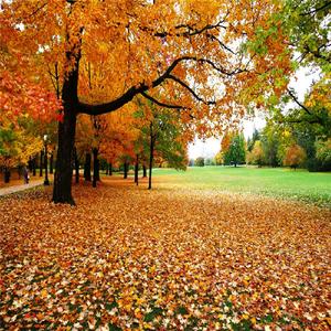 世界末日的爱情故事