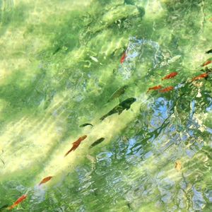 末日点唱机 伴奏