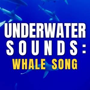 Whale Sound