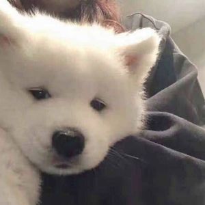 牵着手走过四季