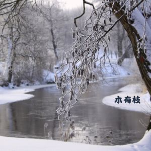 千山暮雪 (大提琴)