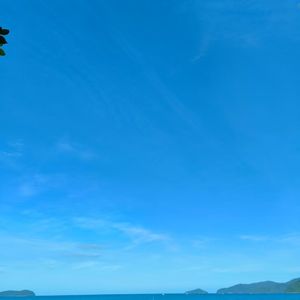 香水湾之家20251216-01-女-词2-