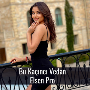 Bu Kaçıncı Vedan