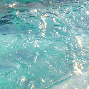 Mint Manpo（薄荷曼波）