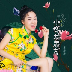 小楼花雨落 (DJ版)