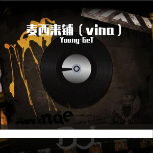 麦西来铺（vina）