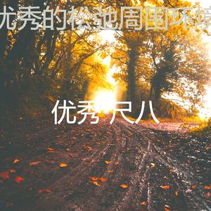 抚慰的回春回忆