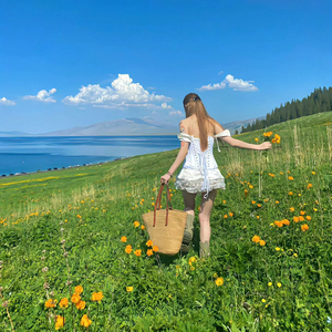 舒曼 - 快乐的农夫.ape