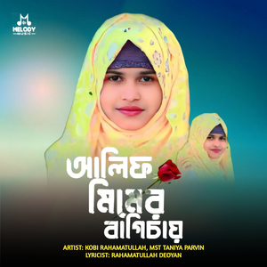 Alif Mimer Bagichay