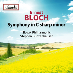 Symphony in C-Sharp Minor:I. Lento - Allegro agitato ma molto energico