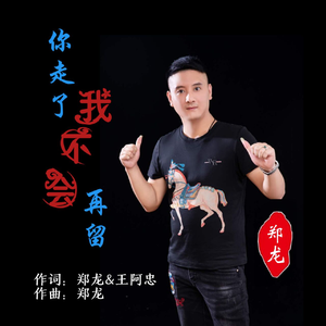 你走了我不会再留 (伴奏)