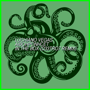 In the Box (D33Tro7 Remix)