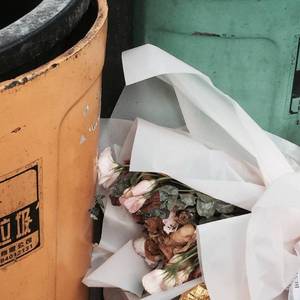 我不会再想你了