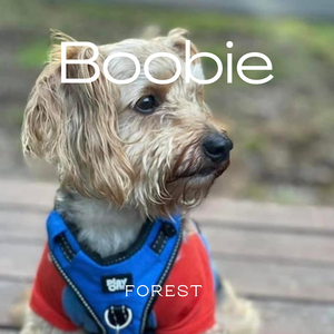 Boobie
