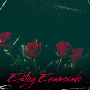Estoy Enamorado