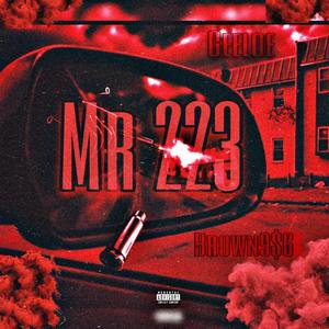 Mr 223 (feat. Ceeloe)