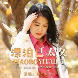 漂泊已太久 (DJ默涵版)