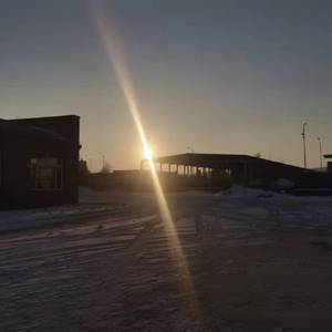 昙花一现雨及时